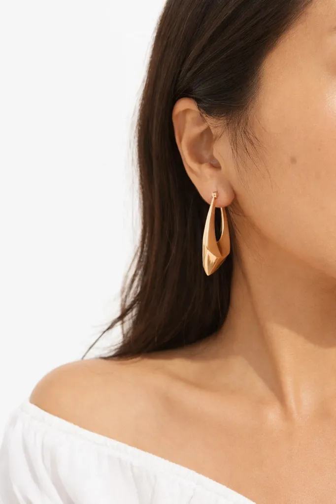 20260121_0019_Image Generation_remix_01kfebs18ve16rqea5t3vct6na.webp